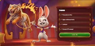 Magius Casino & Sportsbook Your Premier Online Gaming Destination